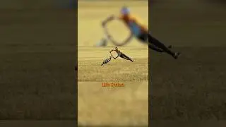 Best MTB film ever?