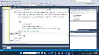 VB.NET || How to Delete Records in VB NET and SQL Server