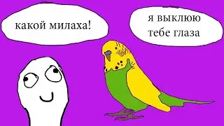 Орущая машина | Истории из шизни