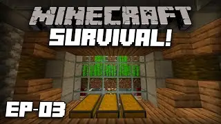Fully Automatic Sugarcane Farm! | Minecraft (1.16) - Survival Let's Play (Episode 3)