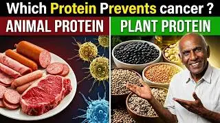 [English] Animal and Fish Vs plant protein: How They Affect Cancer Risk -ac6