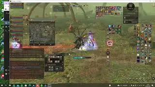 Lineage 2: First Days in New SWAMP  LvL 125 Tyrr DreadNought PvP