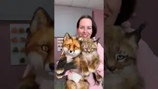 Вам кто больше нравится рысенок или лисёнок 😻🦊?))
