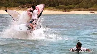Attacchi di squali! Tutte le scene di attacco più folli da Paradise Beach - Dentro l'incubo 🌀 4K