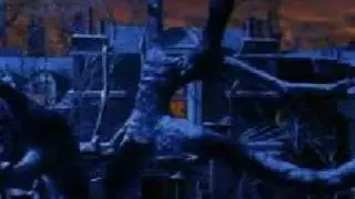 Peter Pan - Into the West