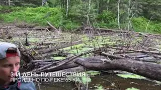 Шиш.сплав-2020