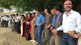 sadık ronahi xunrej tekin in düğünü  keletan köyü