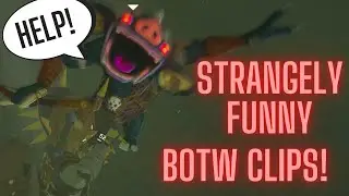 Strangely funny BOTW clips!