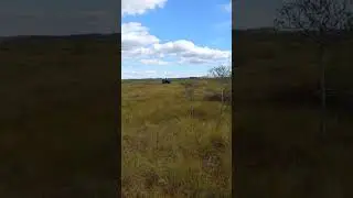 ВЕЗДЕХОДЫ БЕР