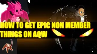Aqw- How to get Cool non member and non Ac Amours,Capes,Swords,Helmets and Pets
