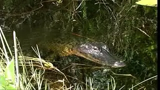 Everglades National Park, Florida, United States