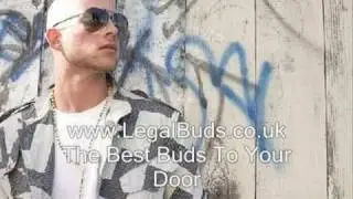 Alchy Ride - PlayBack - Collie Buddz - Reggae Lovers 2011 New