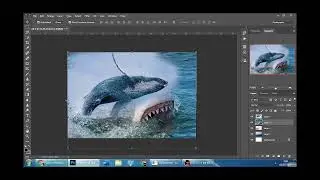 Photo Manipulation of Shark vs Whale with Photoshop