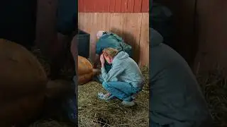 Rest in peace Dandelion♥️#shorts #babyhorse #horse #foal