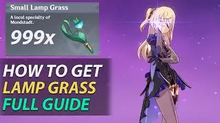How to Farm 999x Small Lamp Grass - Genshin Impact