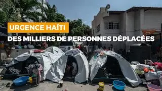 Urgence à Port-au-Prince : des milliers de personnes déplacées | ALIMA