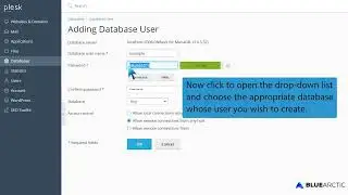 How to create a database username in Plesk   BLUE ARCTIC