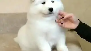 Доступны три очень достойные девочки!