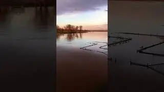 Половодье в Могилёве!!! Днепр 2023