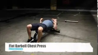Flat Barbell Chest Press