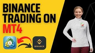 Binance MT4 - Trade Binance from MetaTrader