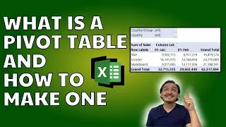 🏀📋 What is a pivot table and how to make one in Excel - Introduction