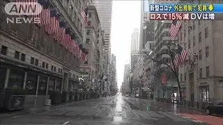 外出規制で犯罪は減少　家庭内暴力は増加　アメリカ(20/04/02)