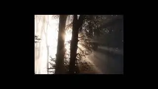 Nature video Drone Footage,,,,,,,, Beautiful Nature