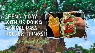 Checking out the Animal Kingdom Items for Disney Passholders | Special Dole Whip And Magnet