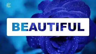Cut Through Text Effect Using Pure CSS