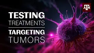 Fighting cancer: from concept to trials without leaving campus