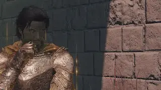 Elden Ring Invader Struck By Beauty