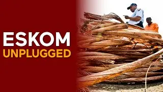 Who is behind the SABOTAGE of Eskom? | André de Ruyter