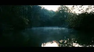 IGOR SYCHEV  - THE FOREST