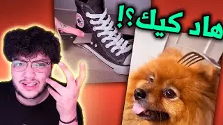 مقاطع تقطيع الكيك خرجت عن السيطرة