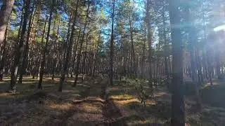 Kastamonu Ormanları Yürüyüş - Bahadır Köyü Civarı