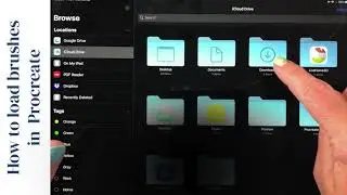How to Load Brushes in Procreate