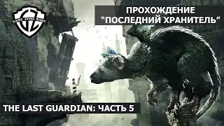Прохождение THE LAST GUARDIAN Последний Хранитель: Часть 5