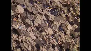 Granoblastic calcite in calcite marble - thin section
