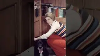 Старость не радость? Предательство и судьба старого пса