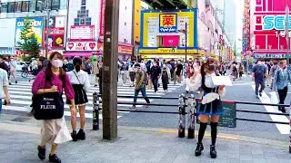 [Akihabara Walk in Tokyo] Maid Cafe Town ♪ (4K ASMR Nonstop)