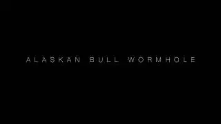 Alaskan Bull Wormhole