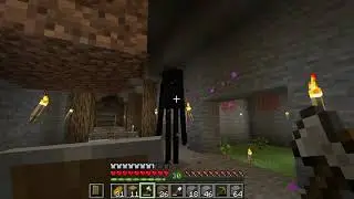 Friendly Enderman? (No Mods, Vanilla, Survival)
