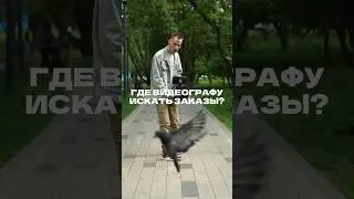 Где искать работу? #шортс #рекомендации #bmpcc4k #кино #рилс #видеограф #фотограф #рилсмейкер