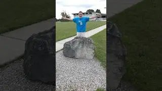 Gigantic Petoskey Stone