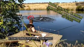 CLOSING OF THE CARP SEASON!!! GOLDEN CARP, THE MOST EXPENSIVE FISHING IN THIS SEASON (Fishing 2020)