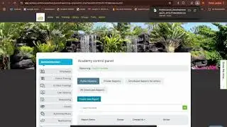 How to Access and Create Reports