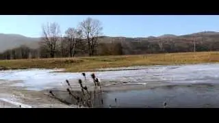 NOVEMBER DAY