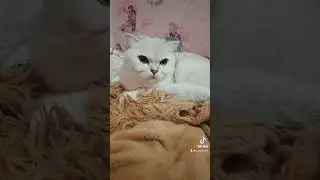 Подсказки 🤭🤯🤭 