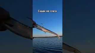 5 июля 2024 г.